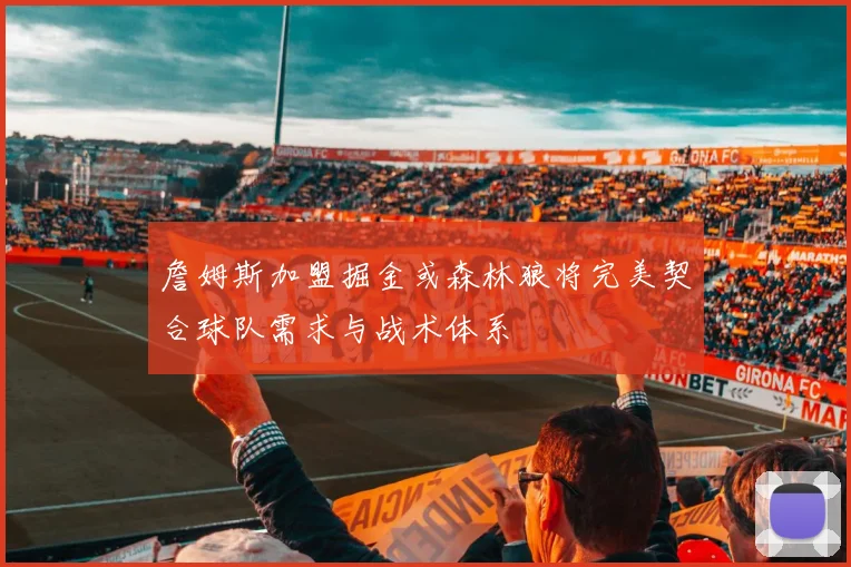 詹姆斯加盟掘金或森林狼将完美契合球队需求与战术体系