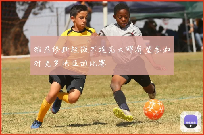 维尼修斯轻微不适无大碍有望参加对克罗地亚的比赛
